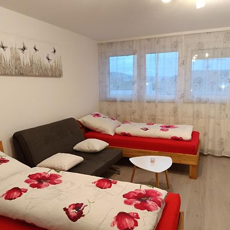 Apartment Lahr 50 Ngoại thất bức ảnh