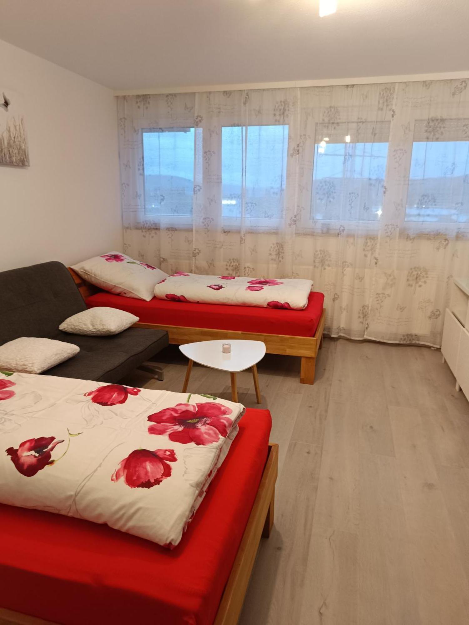 Apartment Lahr 50 Ngoại thất bức ảnh